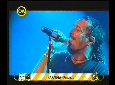 Video El universal - CM Vivo 2010