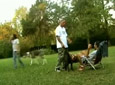 Video Se va - Clip 2009