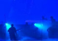 Video Zamba para olvidar - Gran Rex agosto de 2012