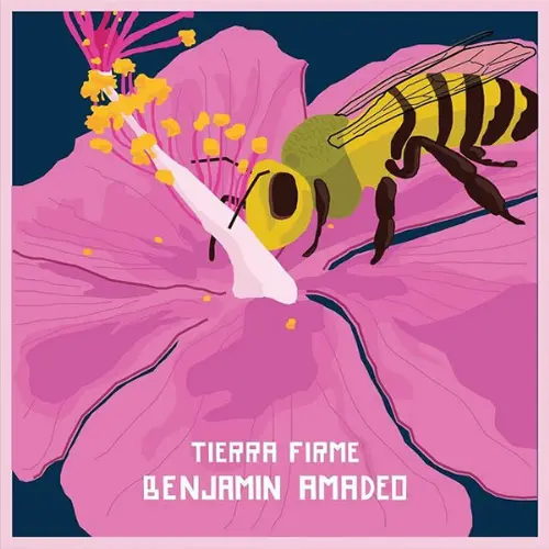 Benjamn Amadeo - TIERRA FIRME - SINGLE
