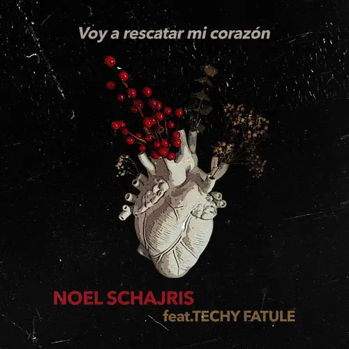 Noel Schajris - VOY A RESCATAR MI CORAZN (FT TECHY) - SINGLE