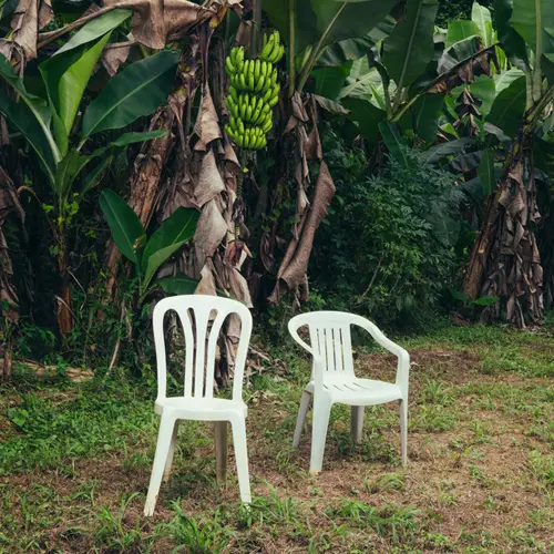 Bad Bunny - DEBÍ TIRAR MÁS FOTOS