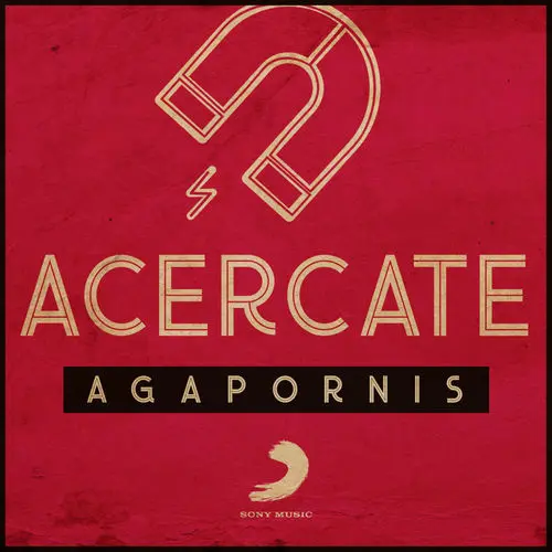 Agapornis - ACRCATE - SINGLE