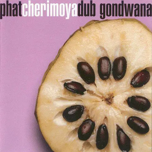 Gondwana - PHAT CHIRIMOYA DUB