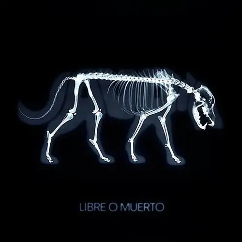 Jaura - LIBRE O MUERTO