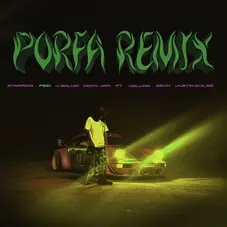 Feid - PORFA REMIX - SINGLE