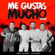 Jorge Celedn - ME GUSTAS MUCHO - SINGLE