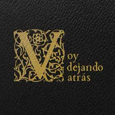 Turf - VOY DEJANDO ATRS - SINGLE