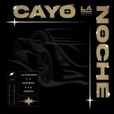 Quevedo - CAY LA NOCHE - SINGLE