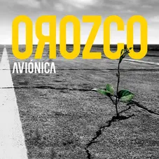 Antonio Orozco - AVINICA 
