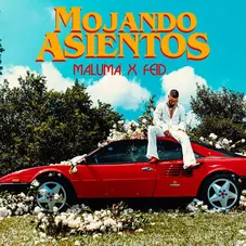 Feid - MOJANDO ASIENTOS (FT. MALUMA) - SINGLE