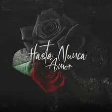 Chili Fernndez - HASTA NUNCA AMOR - SINGLE