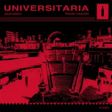 Quevedo - UNIVERSITARIA - SINGLE