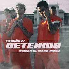 Homer El Mero Mero - DETENIDO - SINGLE