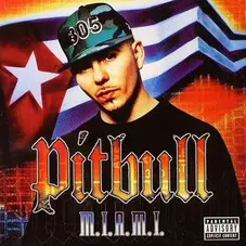 Pitbull - M.I.A.M.I. (Money is a major issue)