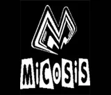 Micosis