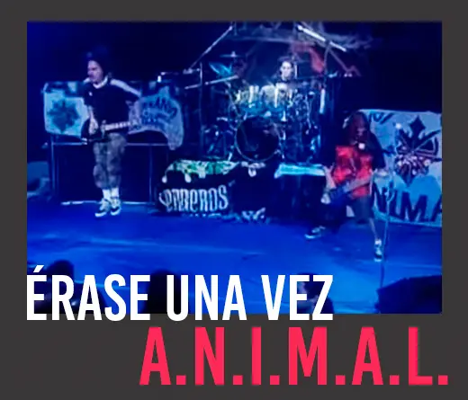 Animal (A.N.I.M.A.L.) - El pico recital de A.N.I.M.A.L. en un ring en 1998