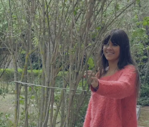 Vanesa Martn - Polvo de Mariposas