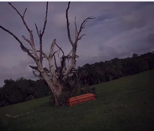 MTL - Nuevo video de Slipknot