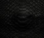 Airbag - Airbag presenta 'Reptiles' y suma una cuarta fecha en V�lez