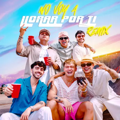 Fede Vigevani - NO VOY A LLORAR POR TI (REMIX) - SINGLE