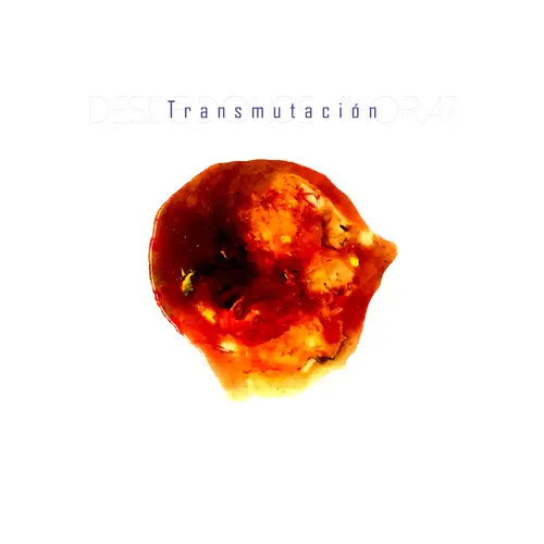 DEMIAN - TRANSMUTACI�N