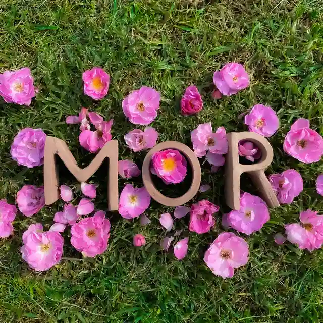 Aterciopelados - MOR - EP