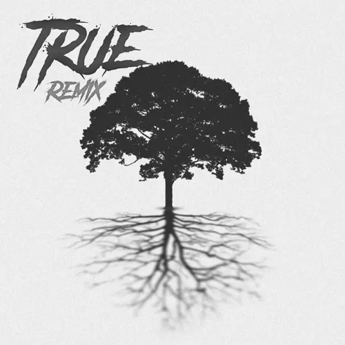 Rusherking - TRUE (REMIX) - SINGLE