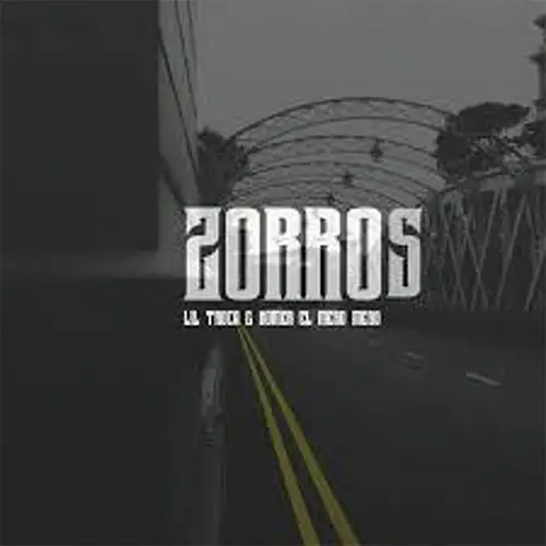 Lil Troca - ZORROS - SINGLE