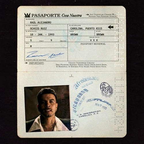 Rauw Alejandro - PASAPORTE - SINGLE