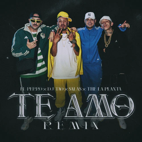 DJ TAO - TE AMO RMX - SINGLE