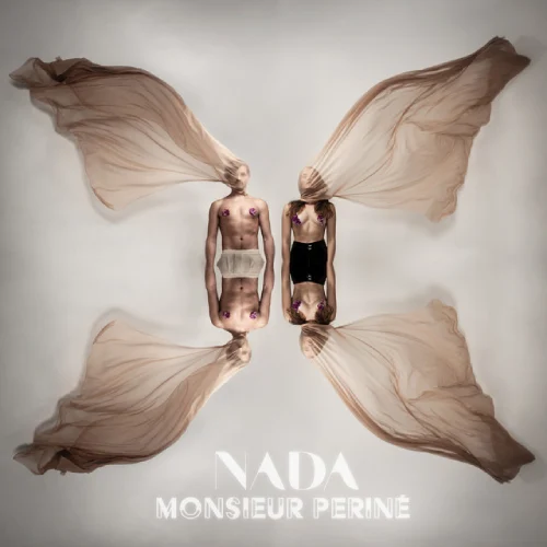 Monsieur Perin - NADA - SINGLE