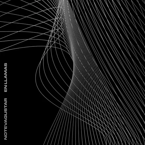 No Te Va Gustar - EN LLAMAS - SINGLE