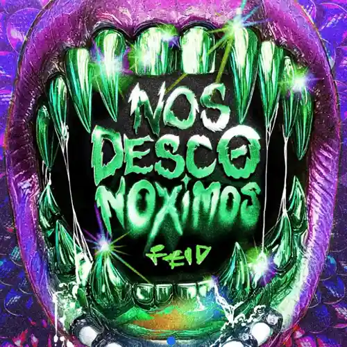 Feid - NOS DESCONOXIMOS - SINGLE