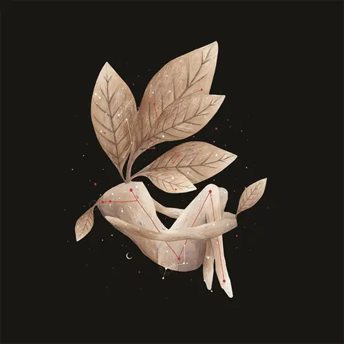 Lisandro Aristimuño - CONSTELACIONES