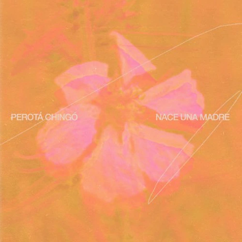 Perota Chingó - NACE UNA MADRE - SINGLE