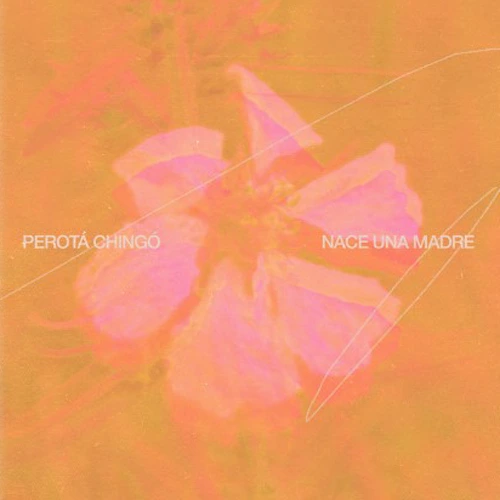 Perota Ching - NACE UNA MADRE - SINGLE