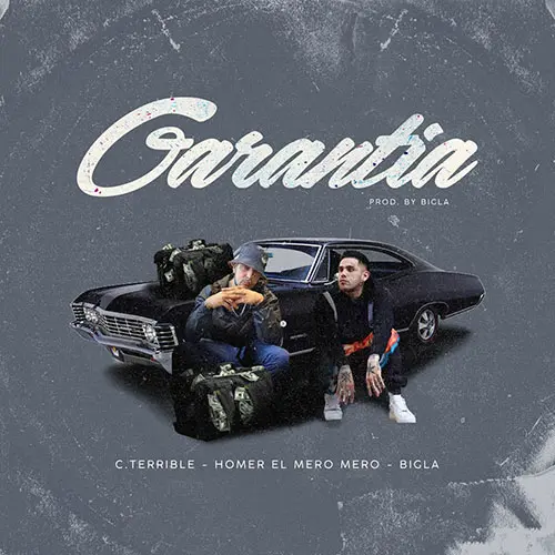 Homer El Mero Mero - GARANT�A - SINGLE