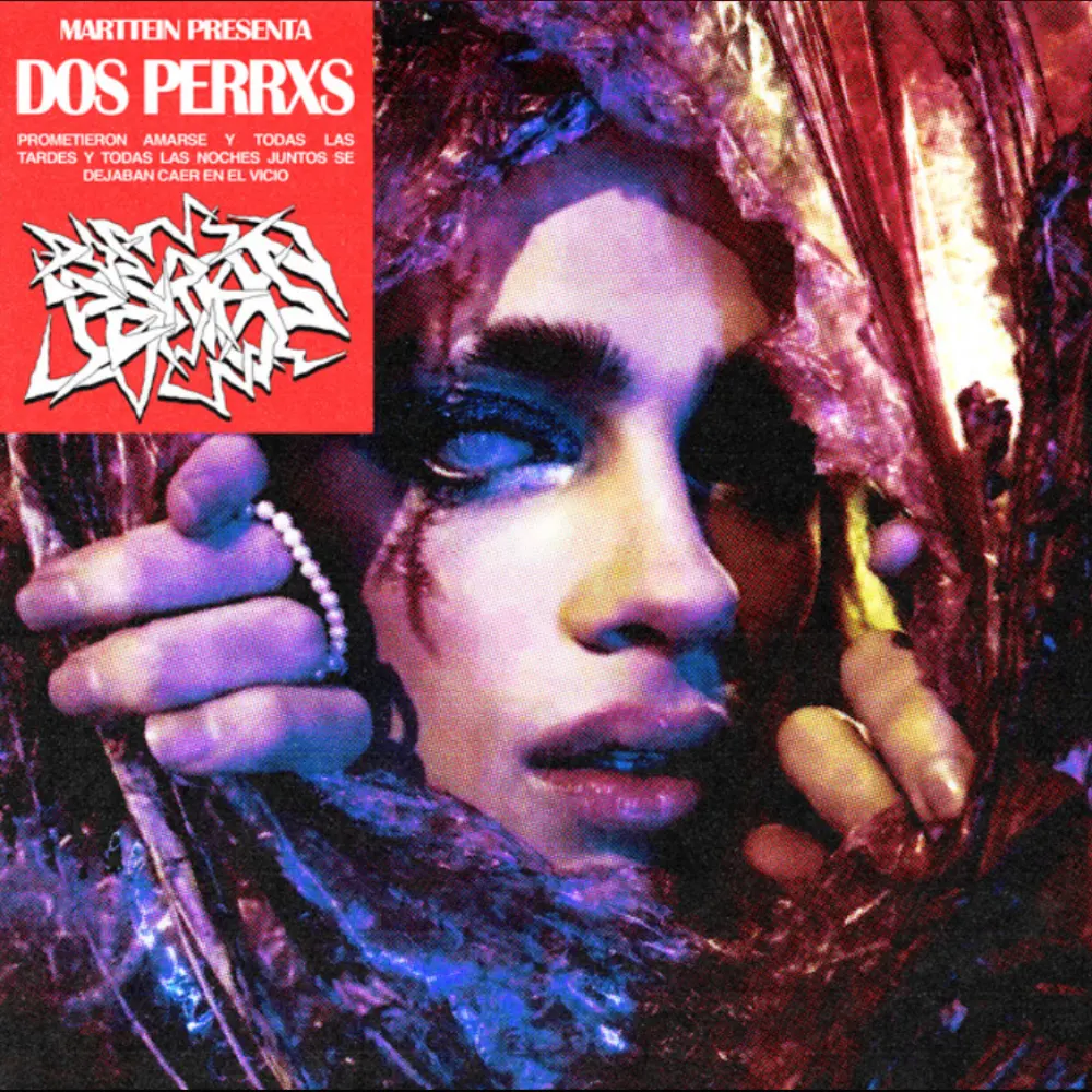 Marttein - DOS PERRXS - SINGLE