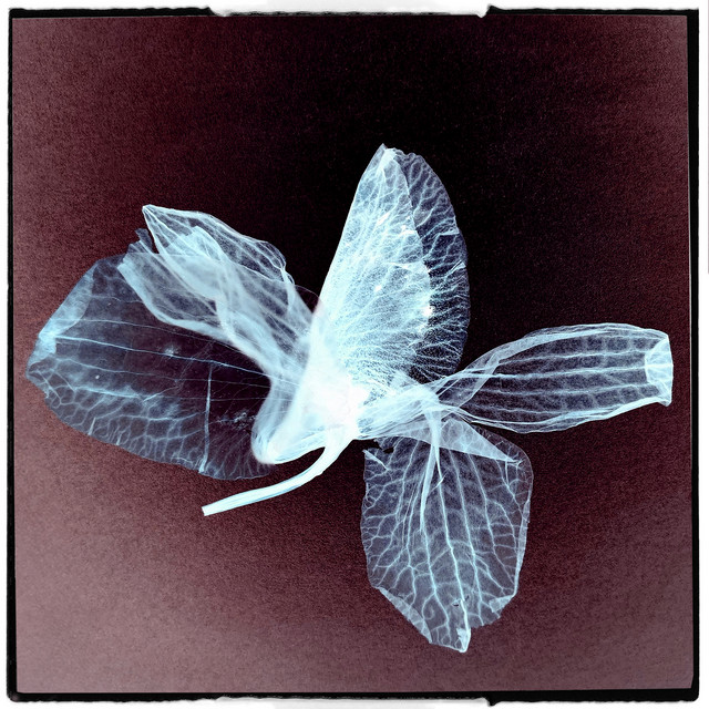 Christian Basso - Sweet Angel - SINGLE