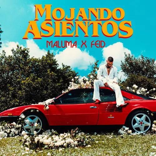 Feid - MOJANDO ASIENTOS (FT. MALUMA) - SINGLE