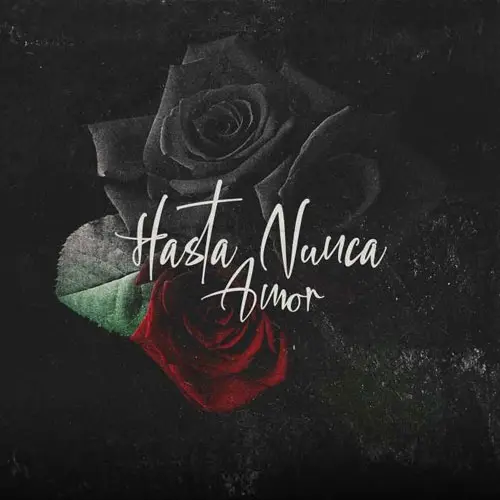 Chili Fernndez - HASTA NUNCA AMOR - SINGLE