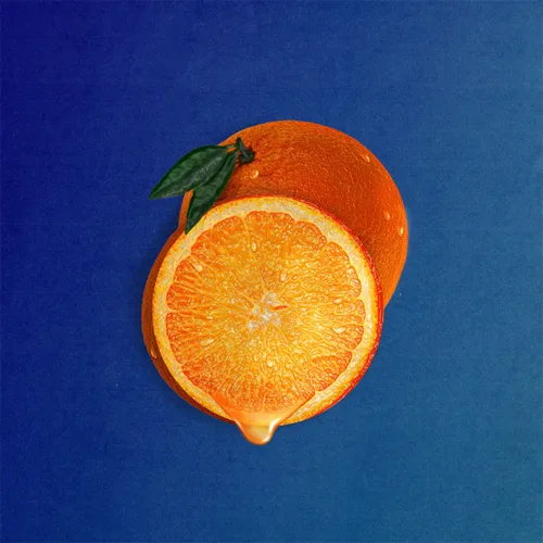 Silvestre Y La Naranja - SUEÑO CÍTRICO