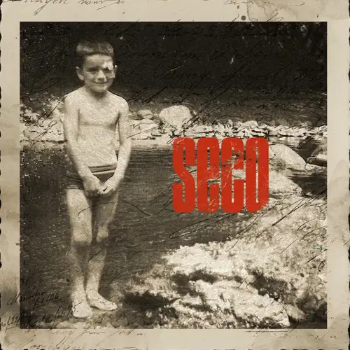 Ricardo Arjona - SECO