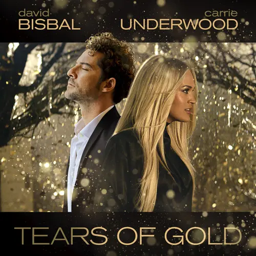 David Bisbal - TEARS OF GOLD - SINGLE