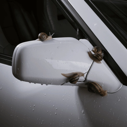 Marc Segu�  - FULL TIME - SINGLE