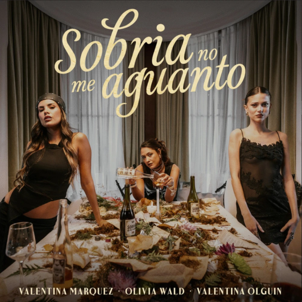 Valentina Olgu�n - SOBRIA NO ME AGUANTO (REMIX) - SINGLE