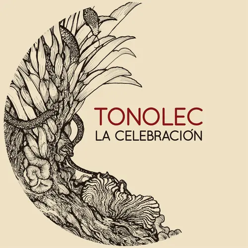 Tonolec - LA CELEBRACIN