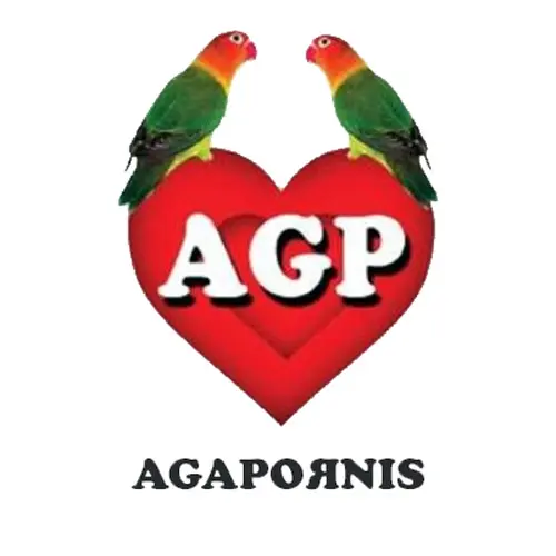 Agapornis - AGAPORNIS