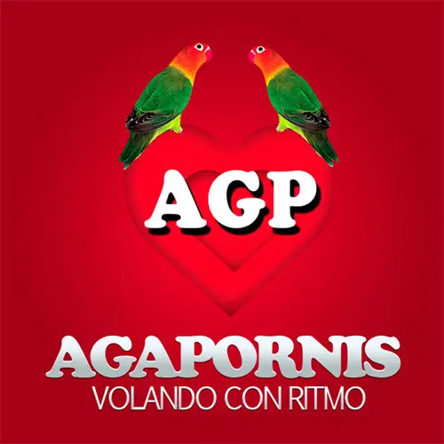 Agapornis - VOLANDO CON RITMO